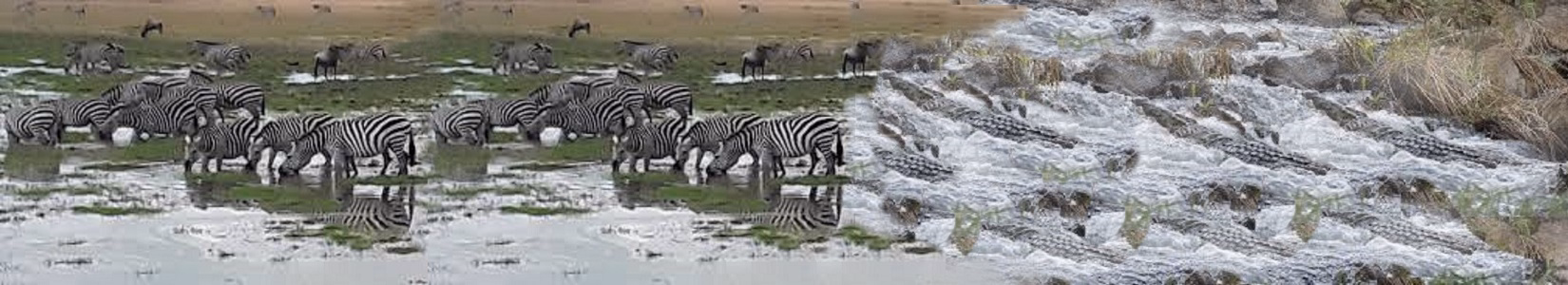 kenya safari holiday