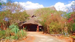 Half Day - Mombasa Bush Tour