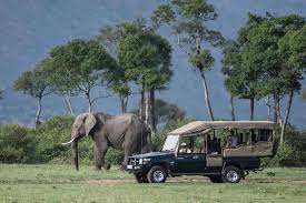 Ngorongoro crater safari