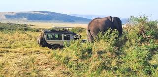 3 Days - Ngorongoro safari